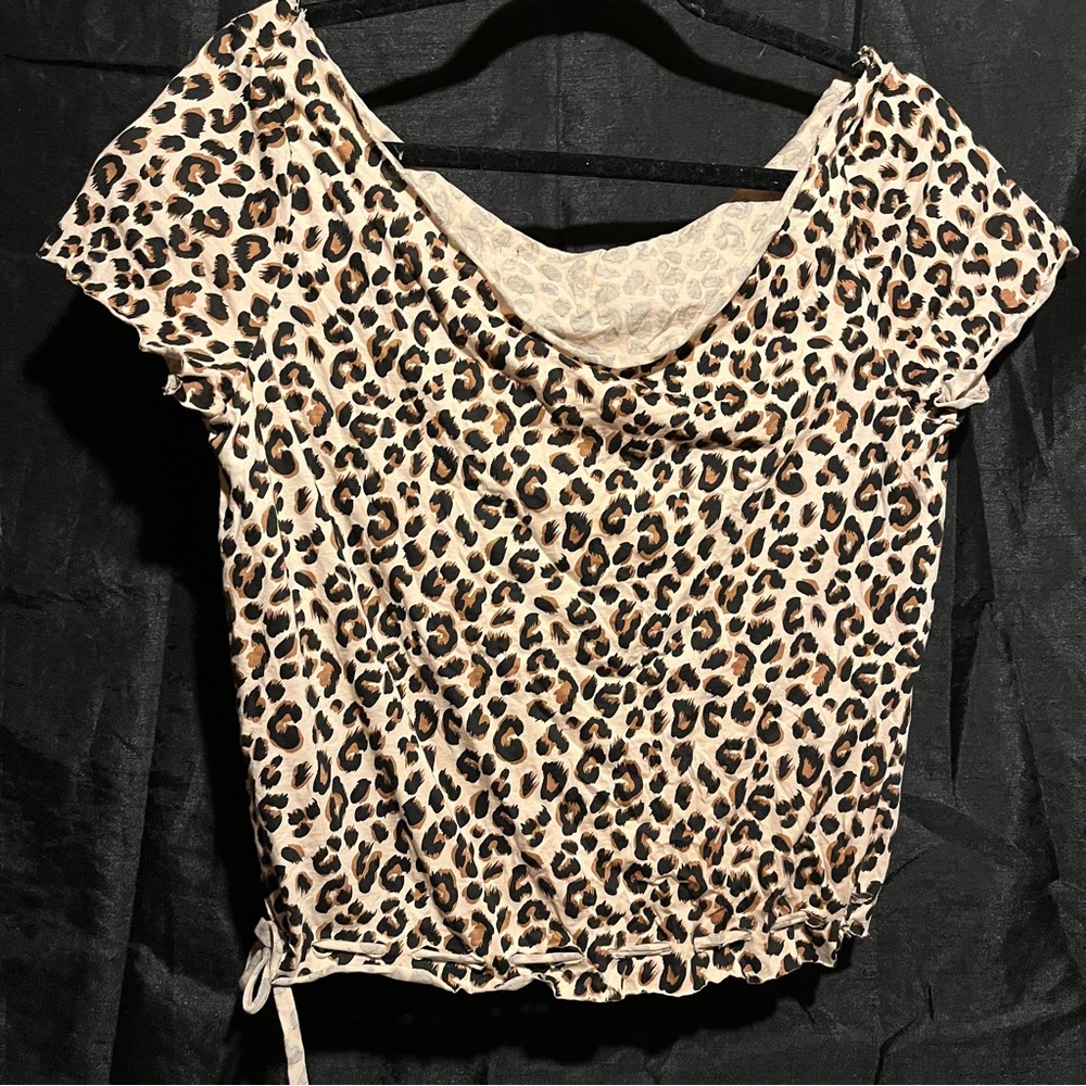 Zara Leopard Print Crop Top